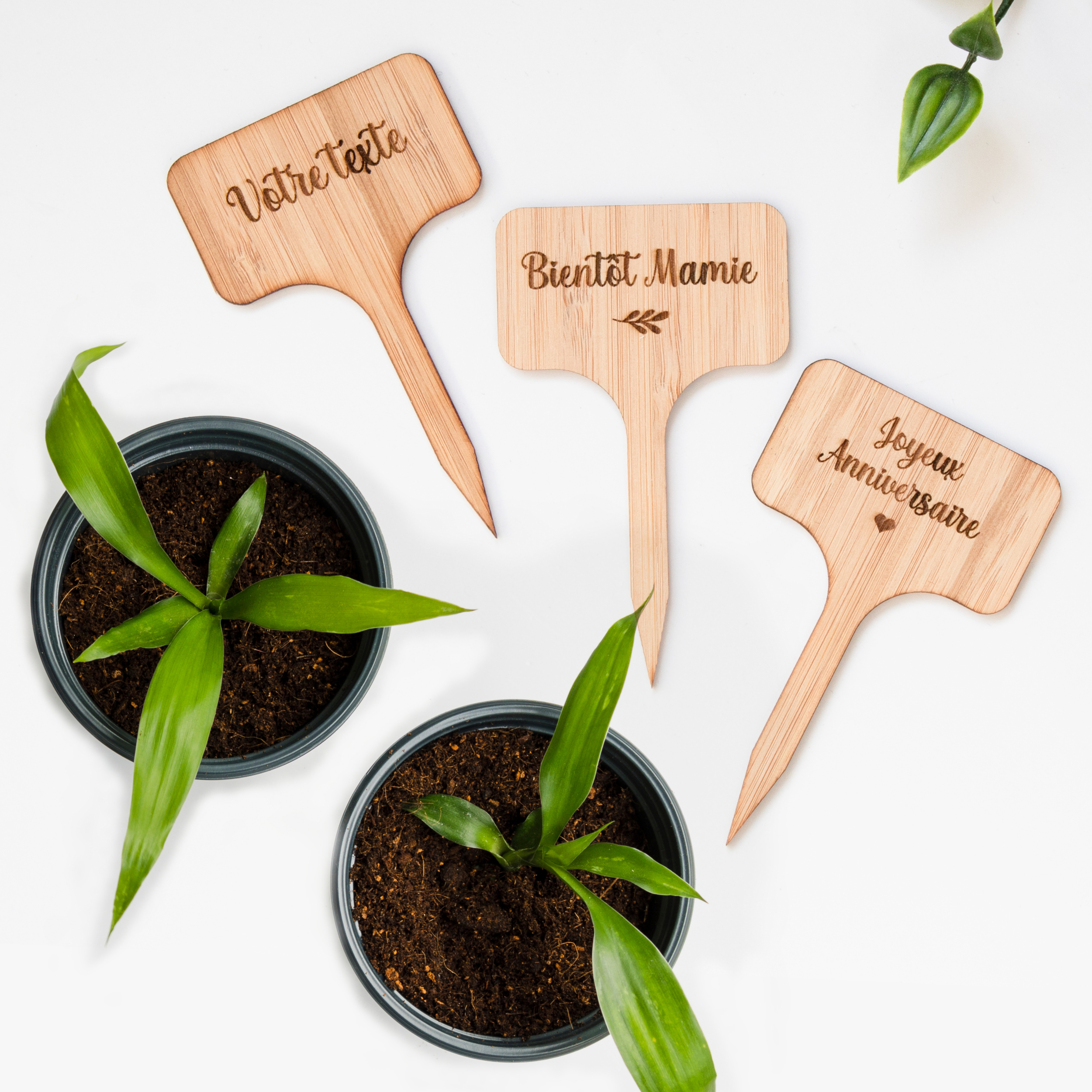 etiquette-plants-semis-potager-itouitou