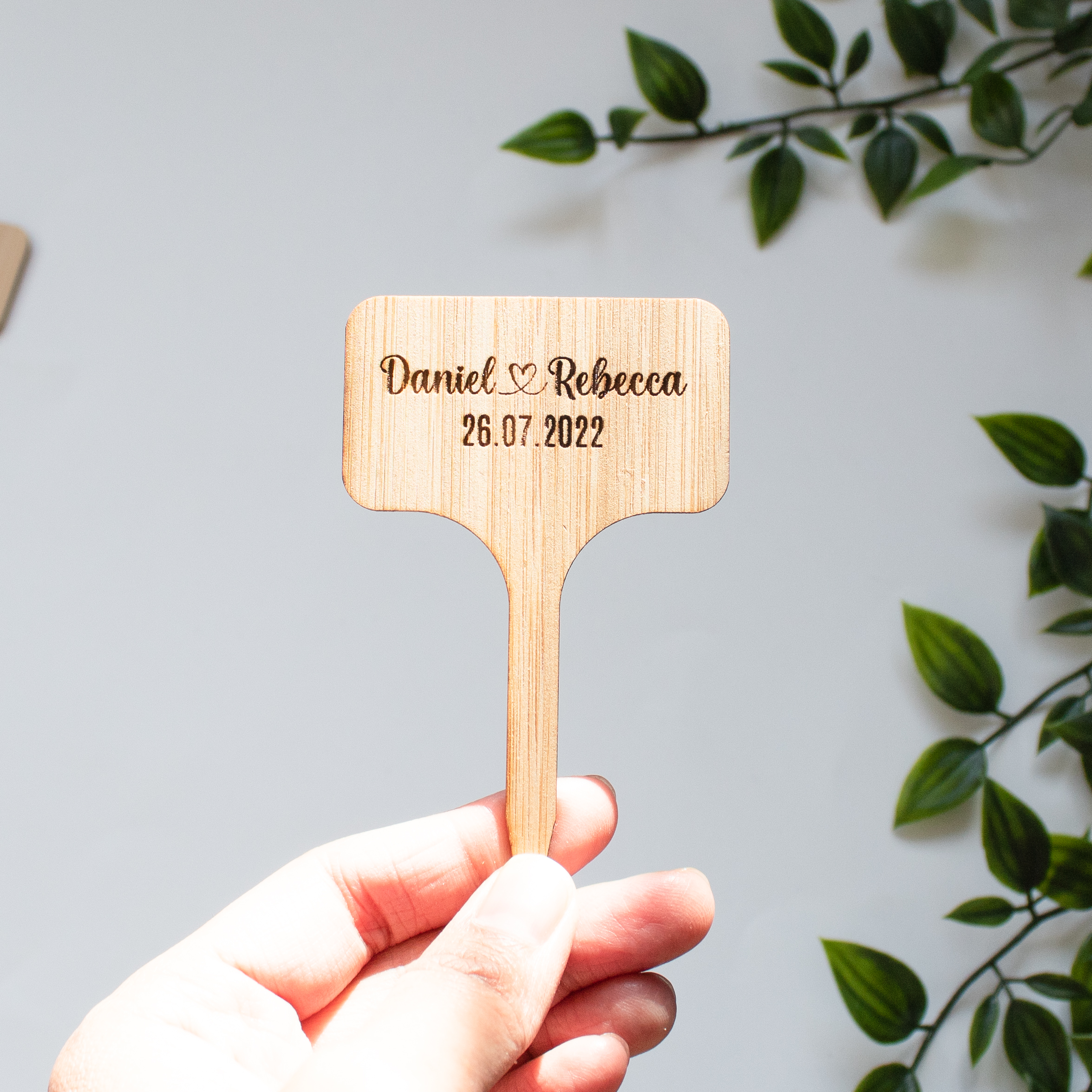 IMG_2309