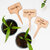 etiquette-plants-semis-potager-itouitou