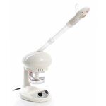 vapeur-ozone-portable-port