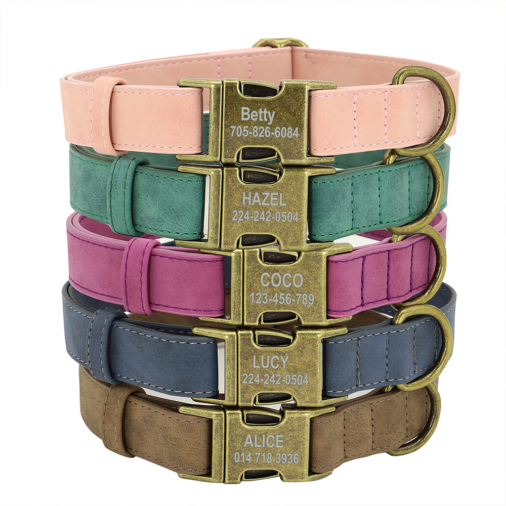 Collier-d-identification-de-chien-personnalis-tiquette-personnalis-e-avec-boucle-en-m-tal-cuir-rembourr
