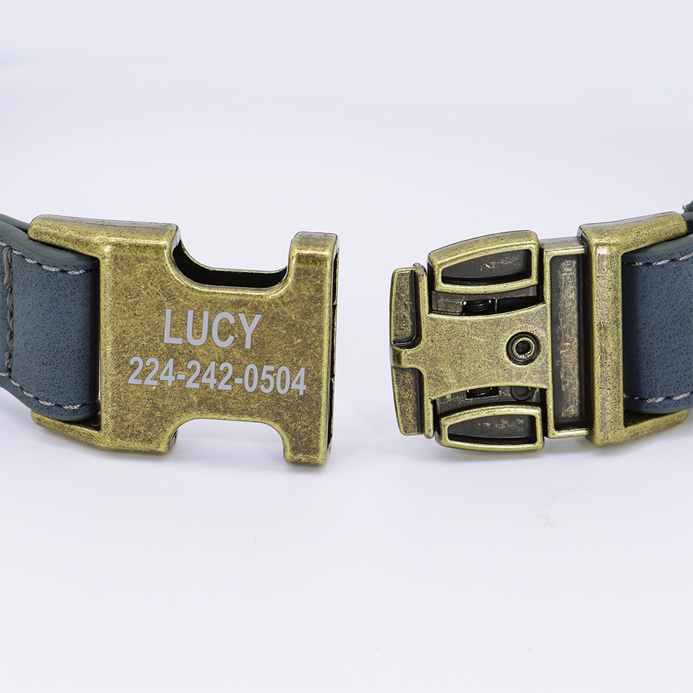 Collier-d-identification-de-chien-personnalis-tiquette-personnalis-e-avec-boucle-en-m-tal-cuir-rembourr