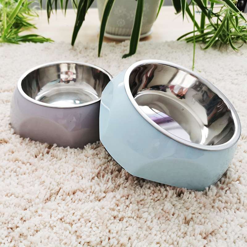 Gamelle-coordonnante-en-acier-inoxydable-pour-animaux-de-compagnie-bol-d-alimentation-eau-potable-fournitures-pour