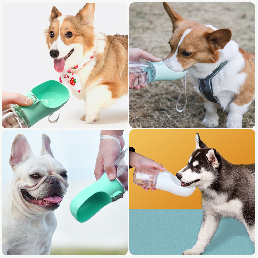 Bouteille-d-eau-portable-pour-animaux-de-compagnie-bol-pour-petits-et-grands-chiens-abreuvoir-ext