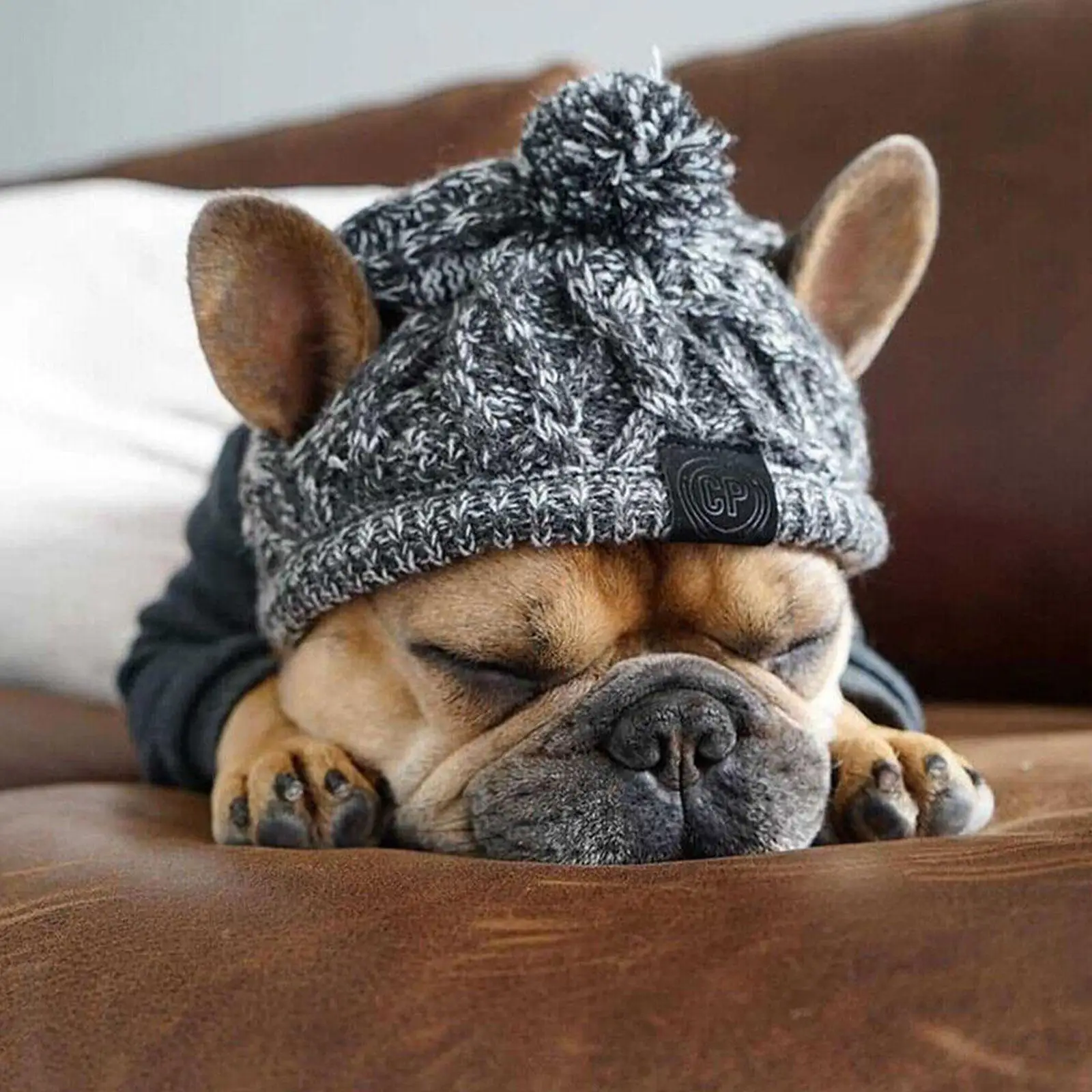 Bonnet chiens