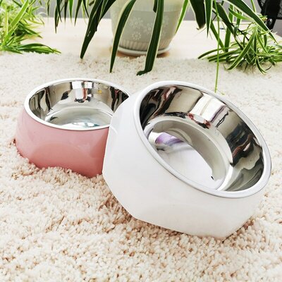 Gamelle-coordonnante-en-acier-inoxydable-pour-animaux-de-compagnie-bol-d-alimentation-eau-potable-fournitures-pour