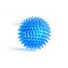 Jouets-interactifs-pour-chiens-jeu-sonore-pour-chiots-boules-de-nettoyage-des-dents-grinc-es-formation