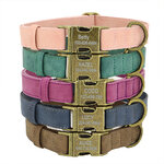 Collier-d-identification-de-chien-personnalis-tiquette-personnalis-e-avec-boucle-en-m-tal-cuir-rembourr