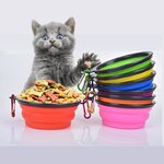Bol-pliable-Portable-pour-animaux-de-compagnie-bol-d-eau-en-Silicone-pour-chien-voyage-en