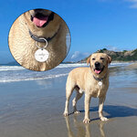 Collier-de-chien-personnalis-avec-nom-et-num-ro-tiquettes-d-identification-pour-animaux-de-compagnie