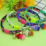 Collier-de-chaton-personnalis-d-gagement-rapide-avec-gravure-gratuite-plaque-d-identification-de-poisson-accessoires