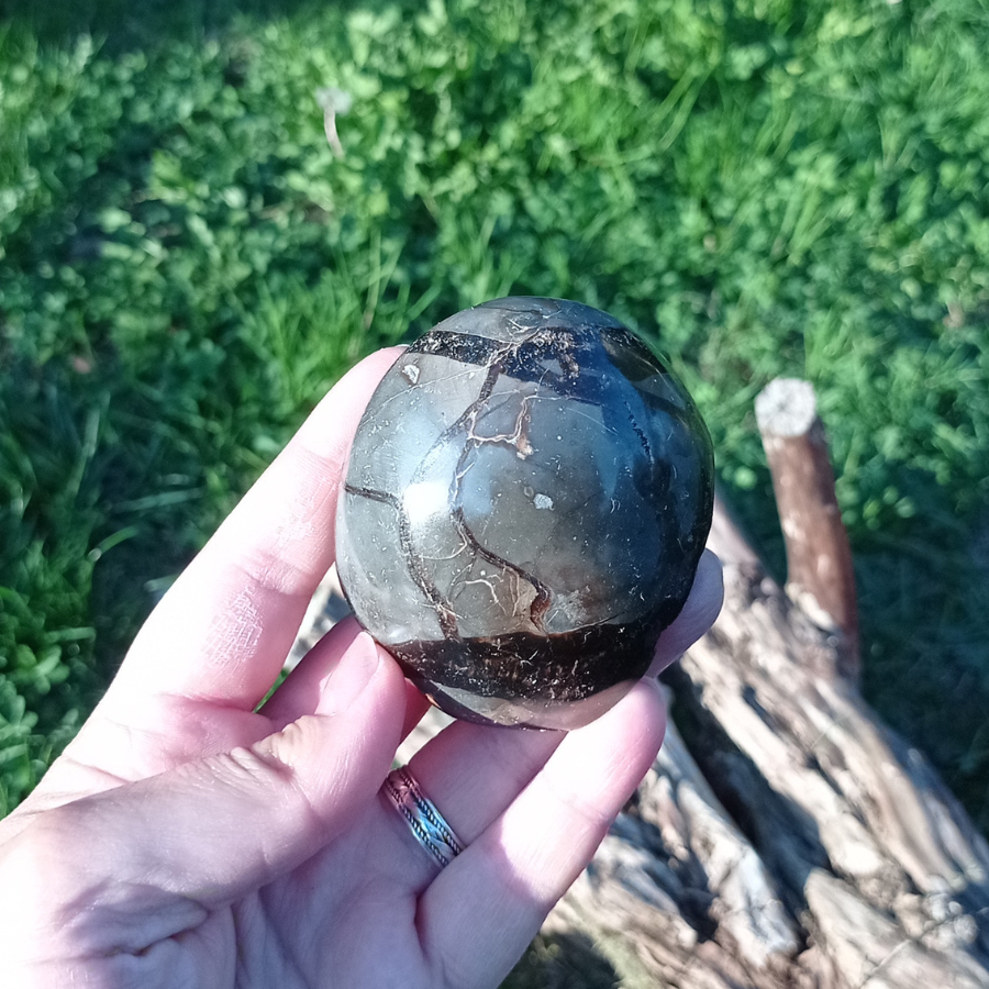 septaria