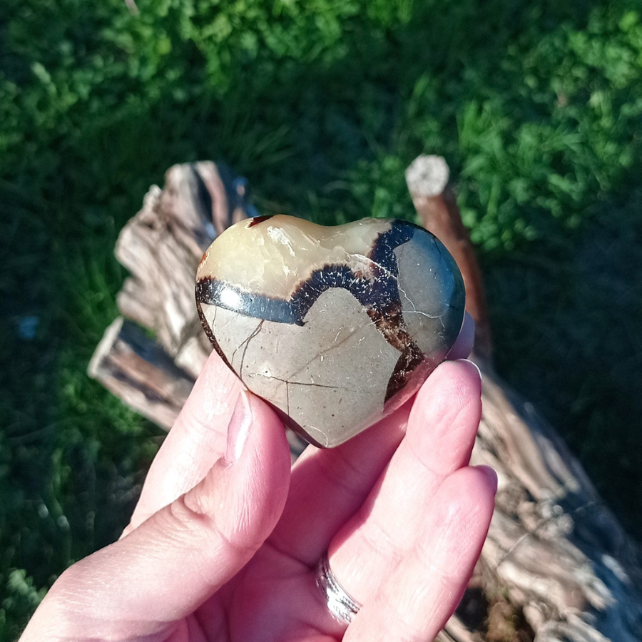 septaria