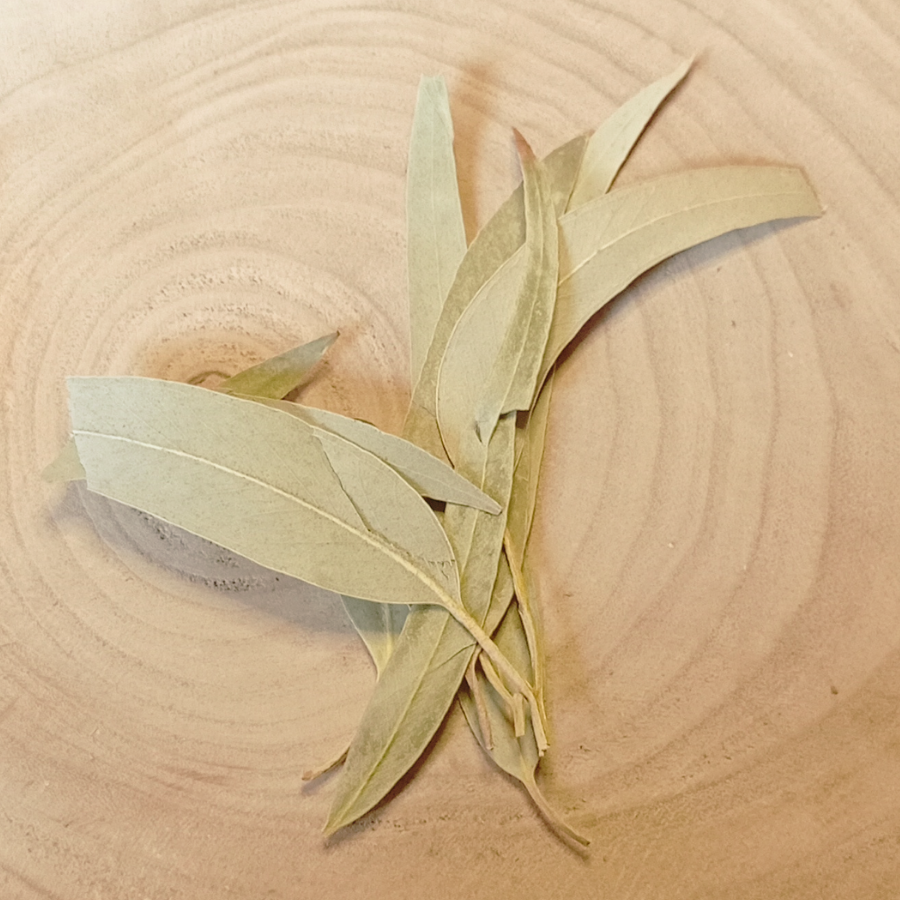 Eucalyptus