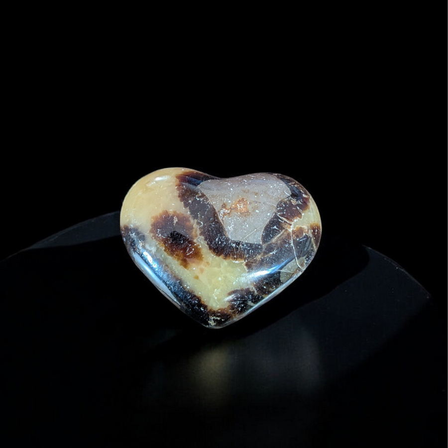 Coeur Septaria Sauvage