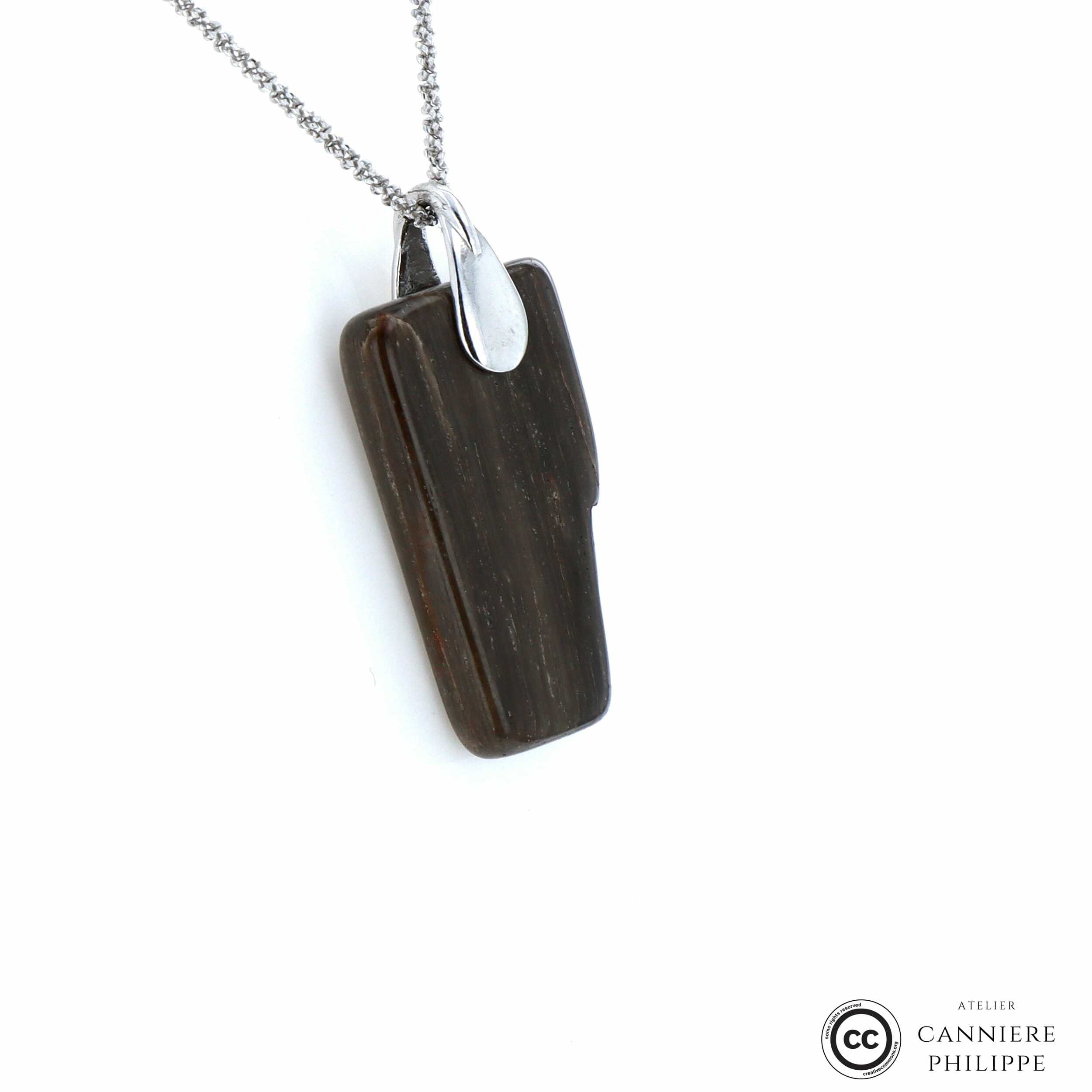 Pendentif_bois Fossilisé _301