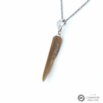 Pendentif_bois Fossilisé _105