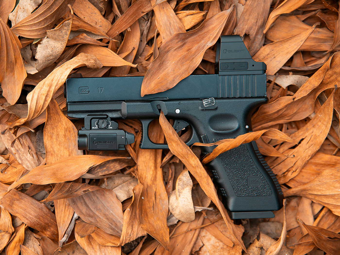 OL OSIGHT-GN_7