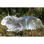 3-D BALLISTIC GEL RABBIT