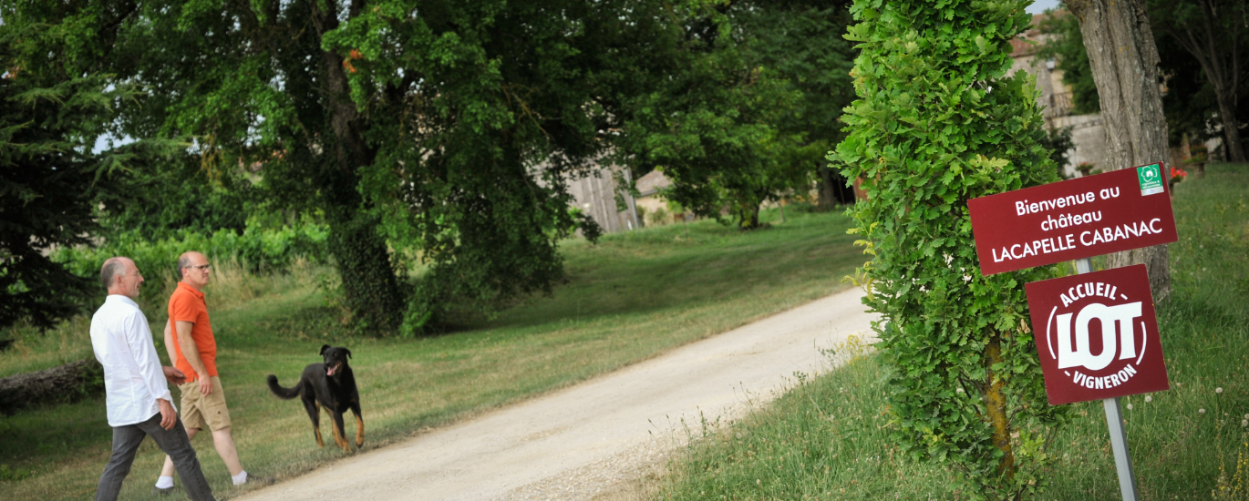 chateau lacapelle cabanac chai c lot tourisme c ory 8