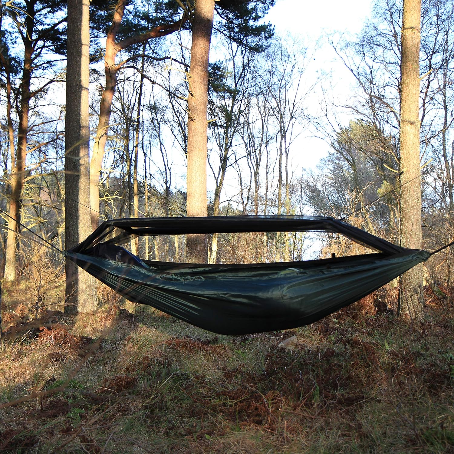 Hamac DD Frontline tendu entre deux pins en sous-bois, moustiquaire déployée, lumière du soir