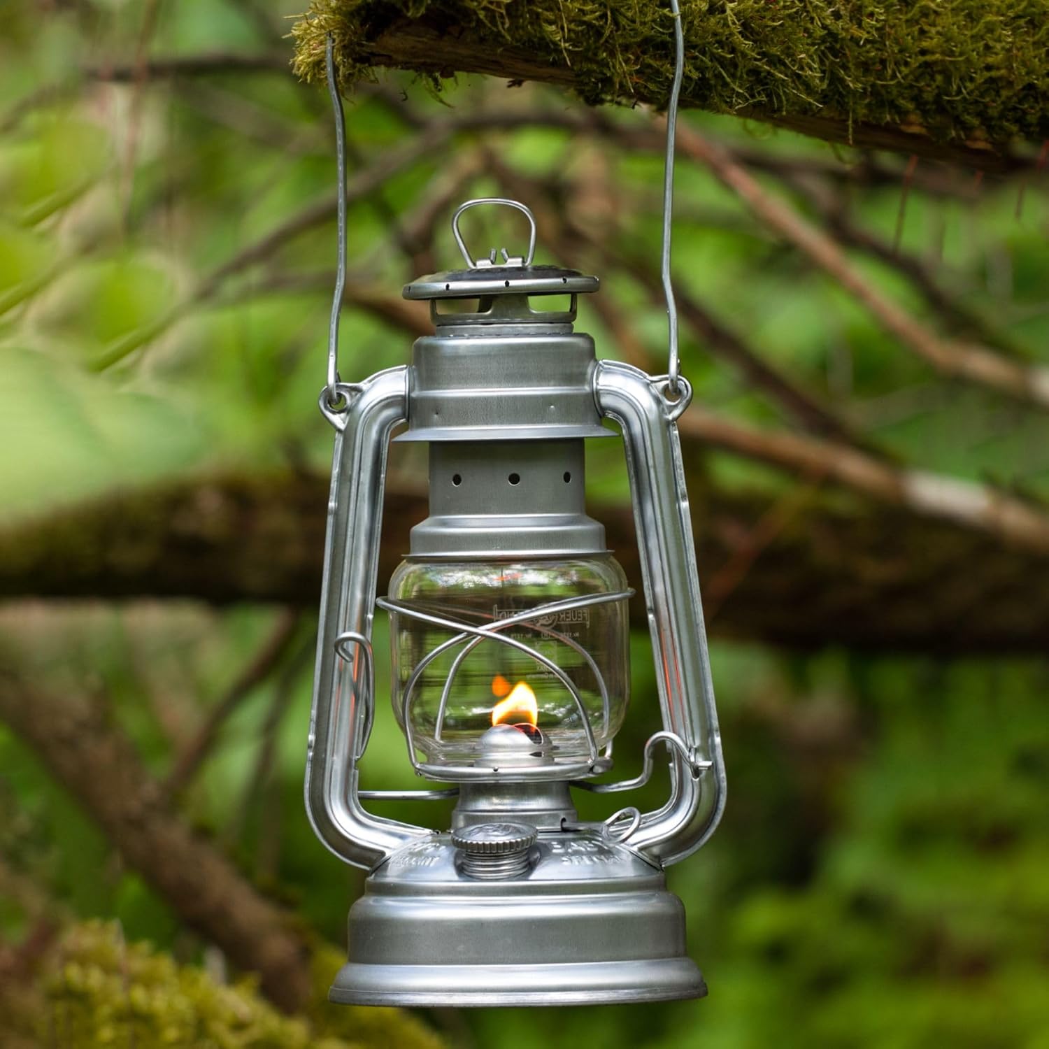 Lampe tempête Feuerhand Baby Special 276 galvanisée allumée, suspendue à une branche moussue