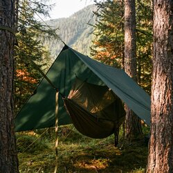 tarp-tendu-au-dessus-d-un-hamac-en-foret