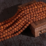 Vajra Bodhi Rudraksha