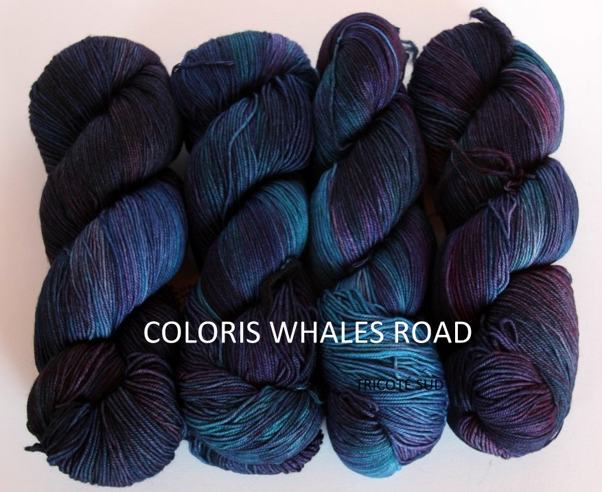 MALABRIGO SOCK WHALES ROAD (2) (Medium)