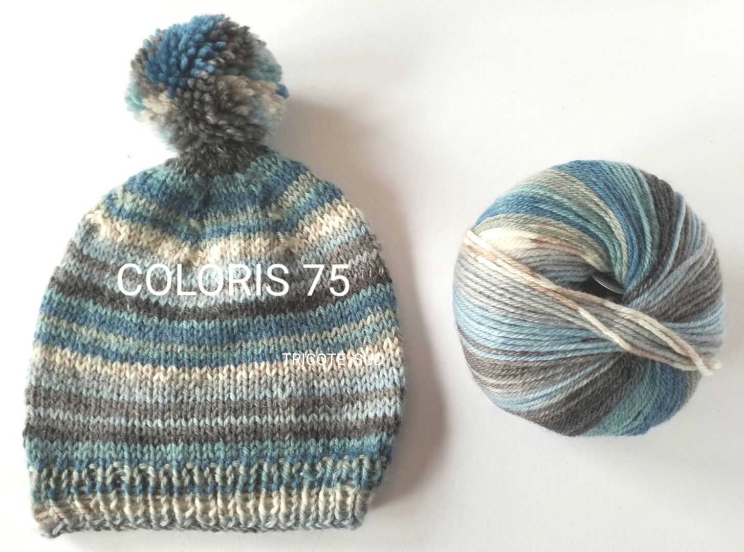 KNITCOL COLORIS 75 (1) (Large)