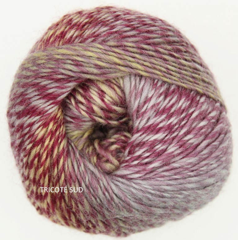 OUR TRIBE SCHEEPJES COLORIS 961 FIFTY SHADES OF 4 PLY (2) (Medium)