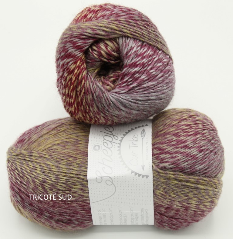 OUR TRIBE SCHEEPJES COLORIS 961 FIFTY SHADES OF 4 PLY (1) (Medium)