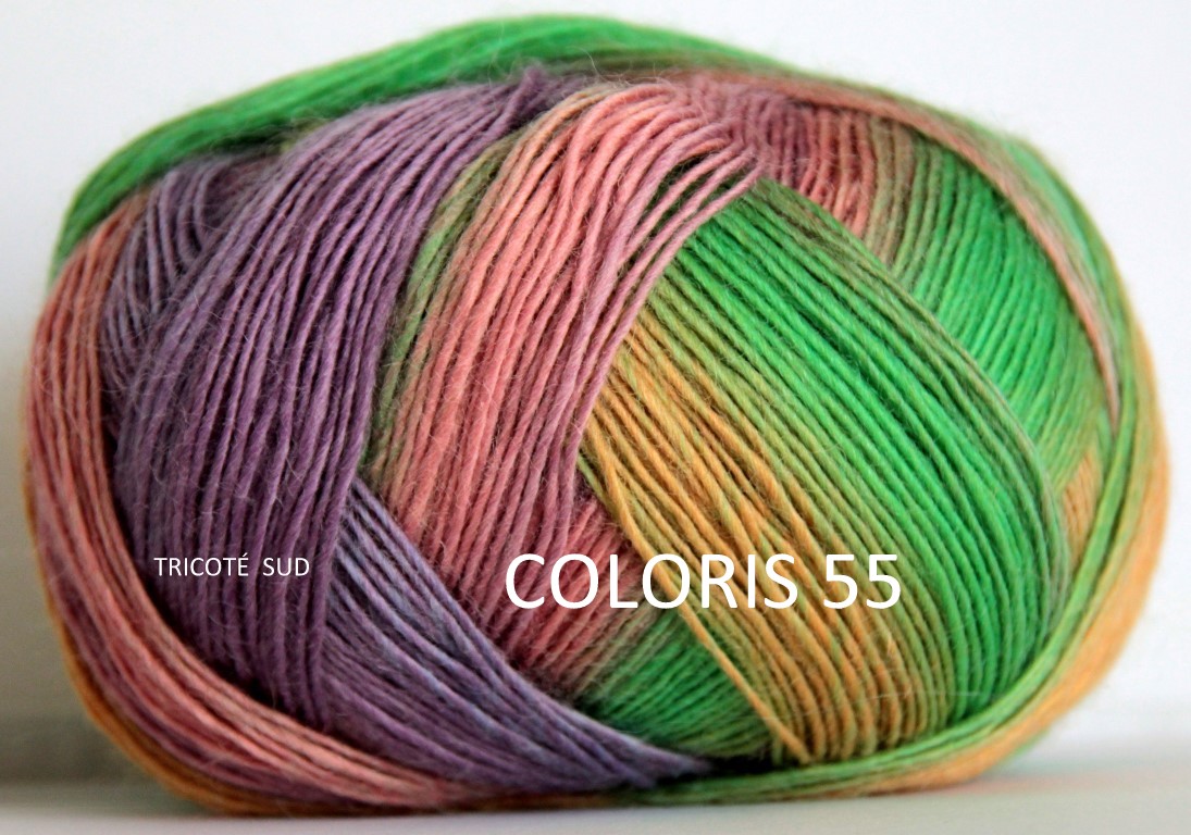 JAWOLL MAGIC DEGRADE COLORIS 55  (Medium)