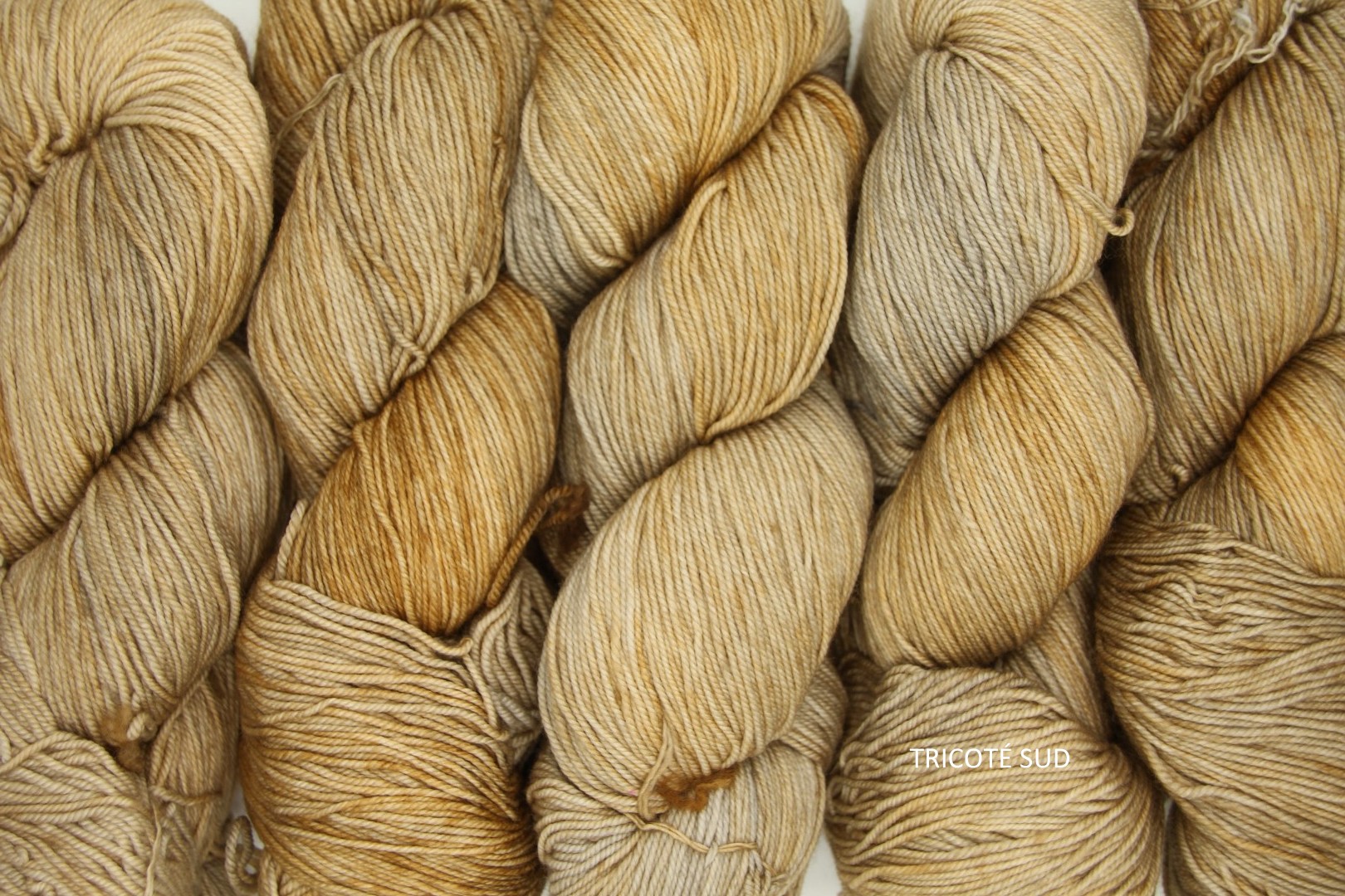 SOCK MALABRIGO COLORIS GINGY (2) (Large)