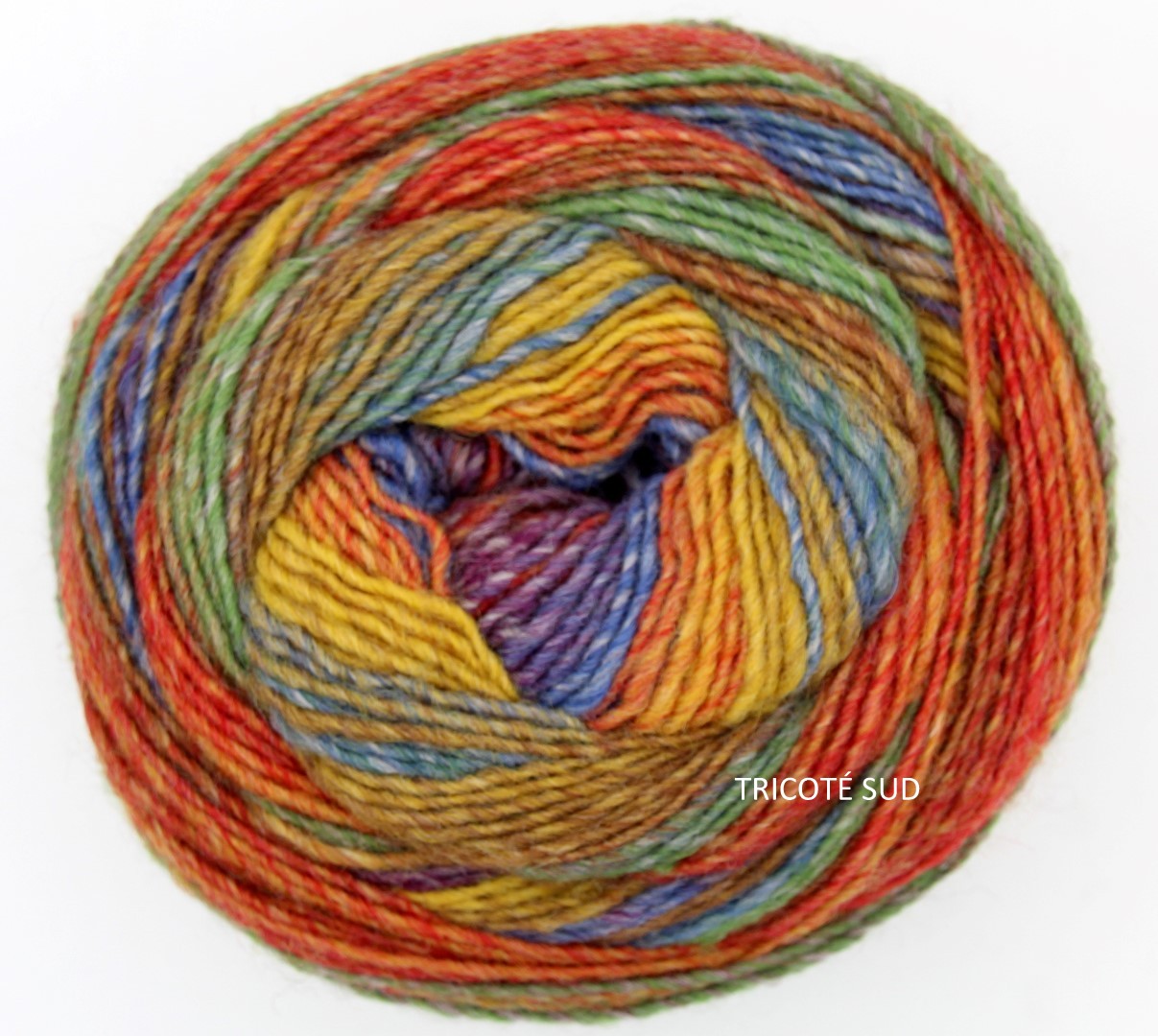 DETTO FATTO ADRIAFIL TRICOTE SUD COLORIS 84 (1) (Large)