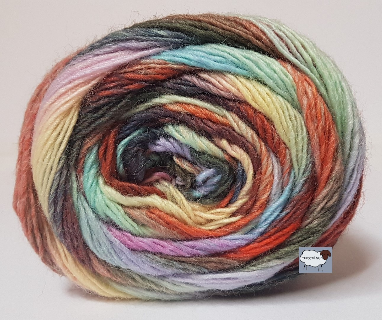 MILLE COLORI SOCKS AND LACE COLORIS 51 (4) (Large)