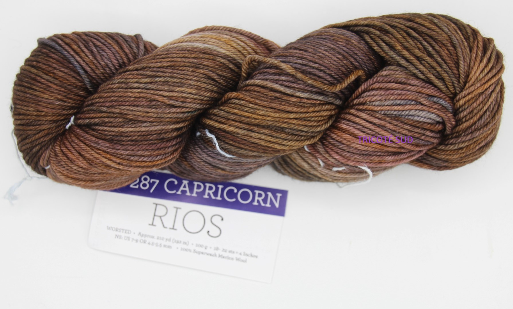 RIOS ZODIAC CAPRICORN (Large)