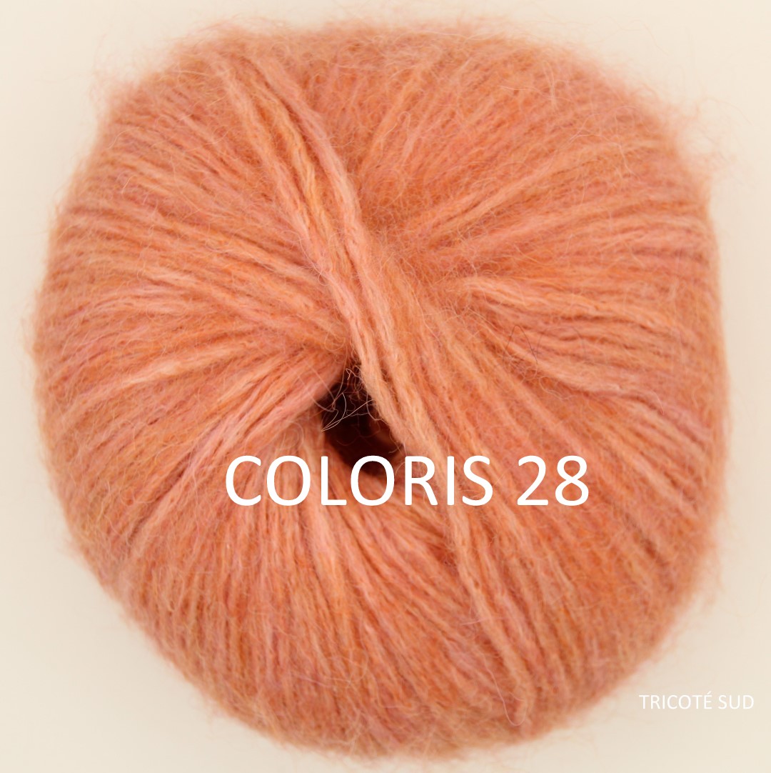 ENYA LANG YARNS COLORIS 28 TRICOTE SUD (3) (Large)