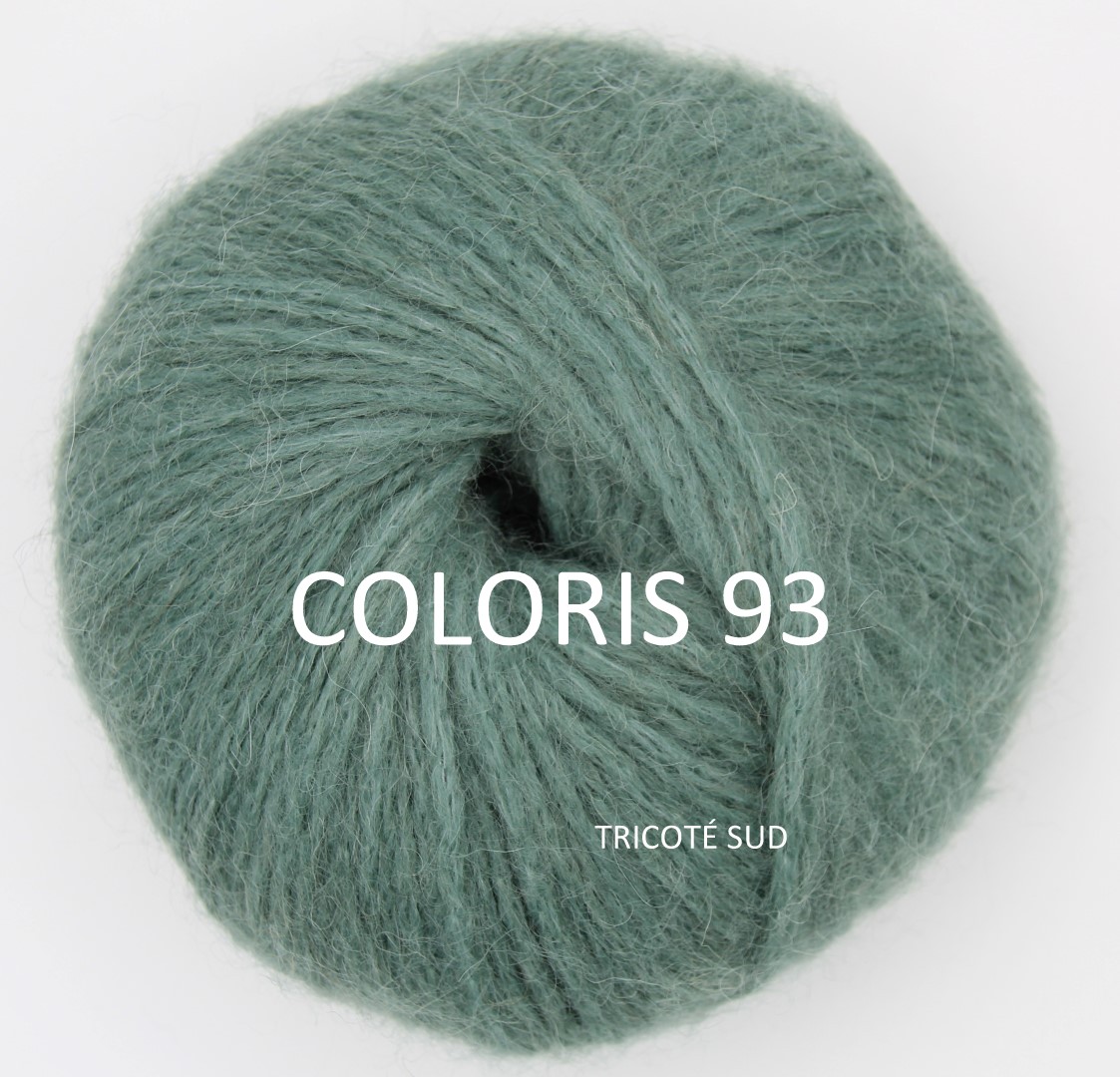 ENYA LANG YARNS COLORIS 93 TRICOTE SUD (1) (Large)