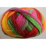 Jawoll Magic Dégradé coloris 59