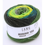 MERINO 120 DEGRADE 02 (3) (Medium)