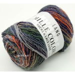 MILLE COLORI SOCKS AND LACE LUXE LANG YARNS COLORIS 57 (1) (Medium)