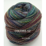 CREATIVE MELANGE ARAN WONDERBALL COLORIS 12 (3) (Large)