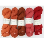 BIO SHETLAND BC GARN TRICOTE SUD  (2) (Large)