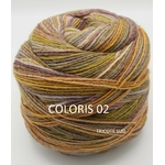 CREATIVE MELANGE ARAN WONDERBALL COLORIS 02 (1) (Large)