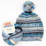 ADRIAFIL KNITCOL COLORIS 75 (Large)