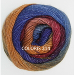 MILLE COLORI SOCKS AND LACE LUXE COLORIS 214 (1)