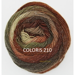 MILLE COLORI SOCKS AND LACE LUXE COLORIS 210 A (1)