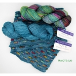 COLORIS SNOOD HARMONIE TRICOTE SUD (7) (Large)