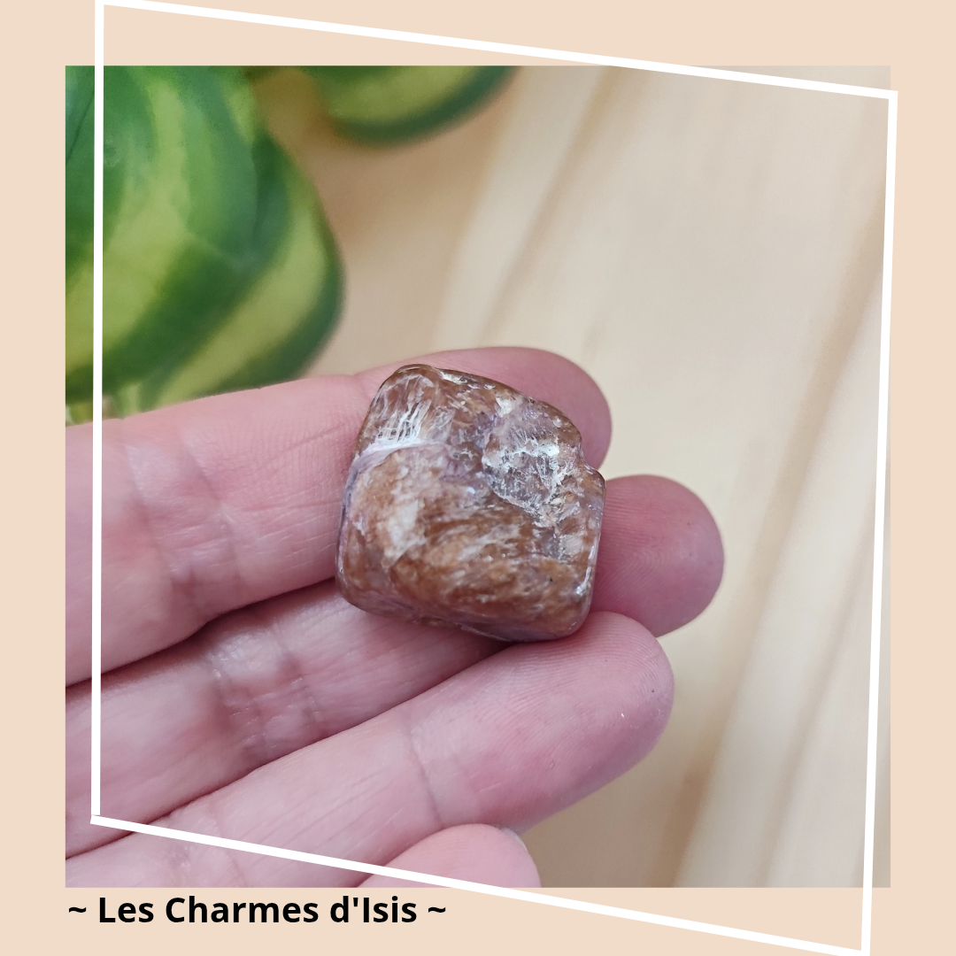 charoîte 5